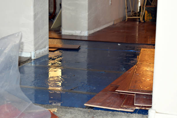 Professional Flood Cleanup technician working in Westphalia, MI